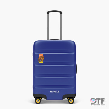 Calcomanías personalizadas para equipaje | DTF Transfers Now